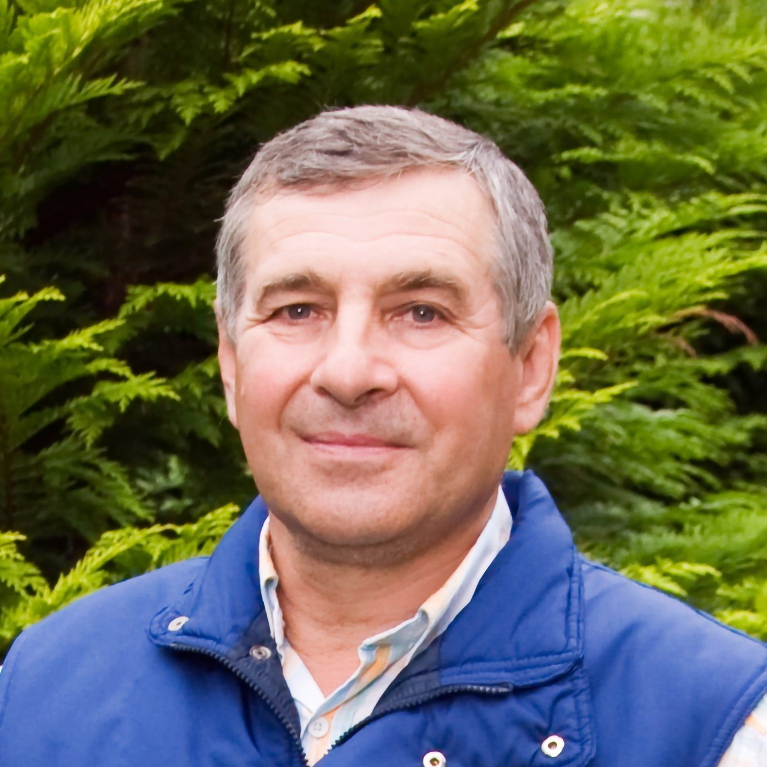 7 Best Brush Cutters 2024 Reviews & Buying Guide