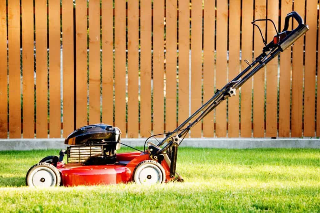 best mulching lawn mowers guide